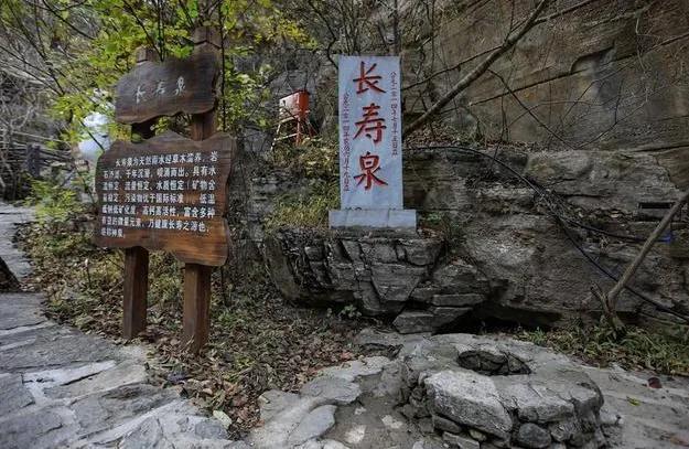 欲钱买风风火火的动物打一正准生肖,警惕虚假宣传落实,实时解答解释落实