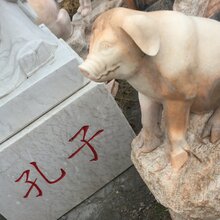 龙蛇鸡兔猴鼠羊,农家都有的动物是什么生肖的全面释义、解释与落实、综合解答解释落实