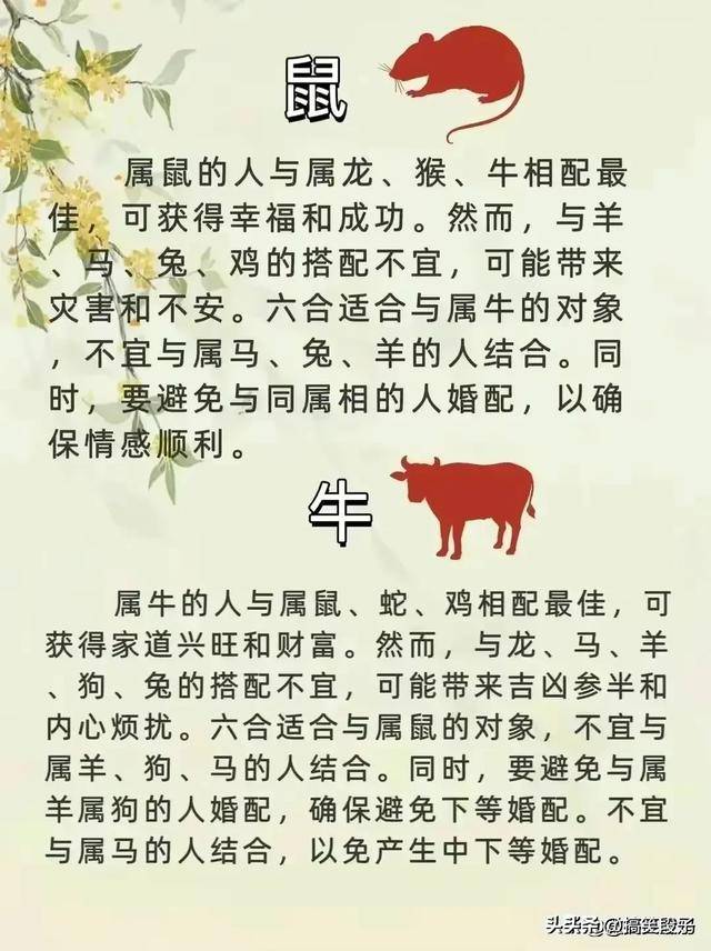 靈鵲報喜，展翅拍翼，世間幸福來尋覓打一最佳精准生肖与警惕虚假宣传-全面释义、构建解答解释落实
