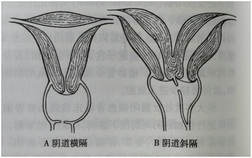 看出玄机在本期彩民留意有财发猜一肖，详细解答、综合解答解释落实