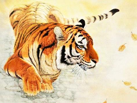 家中母老虎是什么生肖，全面释义、统计解答解释落实